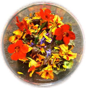 Aromaküche: Salat mit Blütenblättern und Aromawürzöl